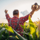The Role of Stationary and Mobile Frost Fans in Agriculture