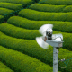 Ventilation Systems in Agriculture