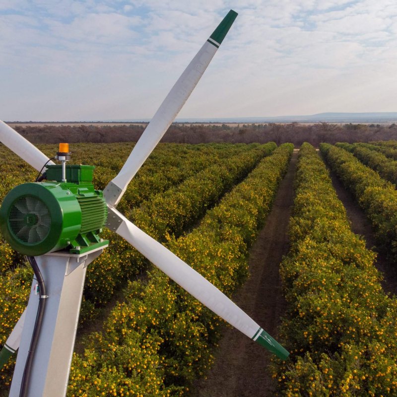 Orchard-Fans_Drone-08